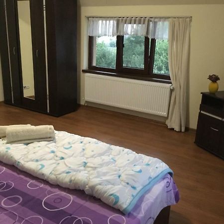 Casa In Zona Linistita, Campia Turziiヴィラ エクステリア 写真