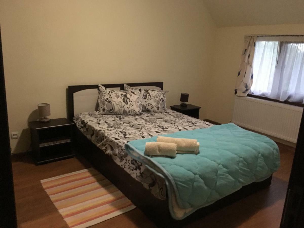Casa In Zona Linistita, Campia Turziiヴィラ エクステリア 写真
