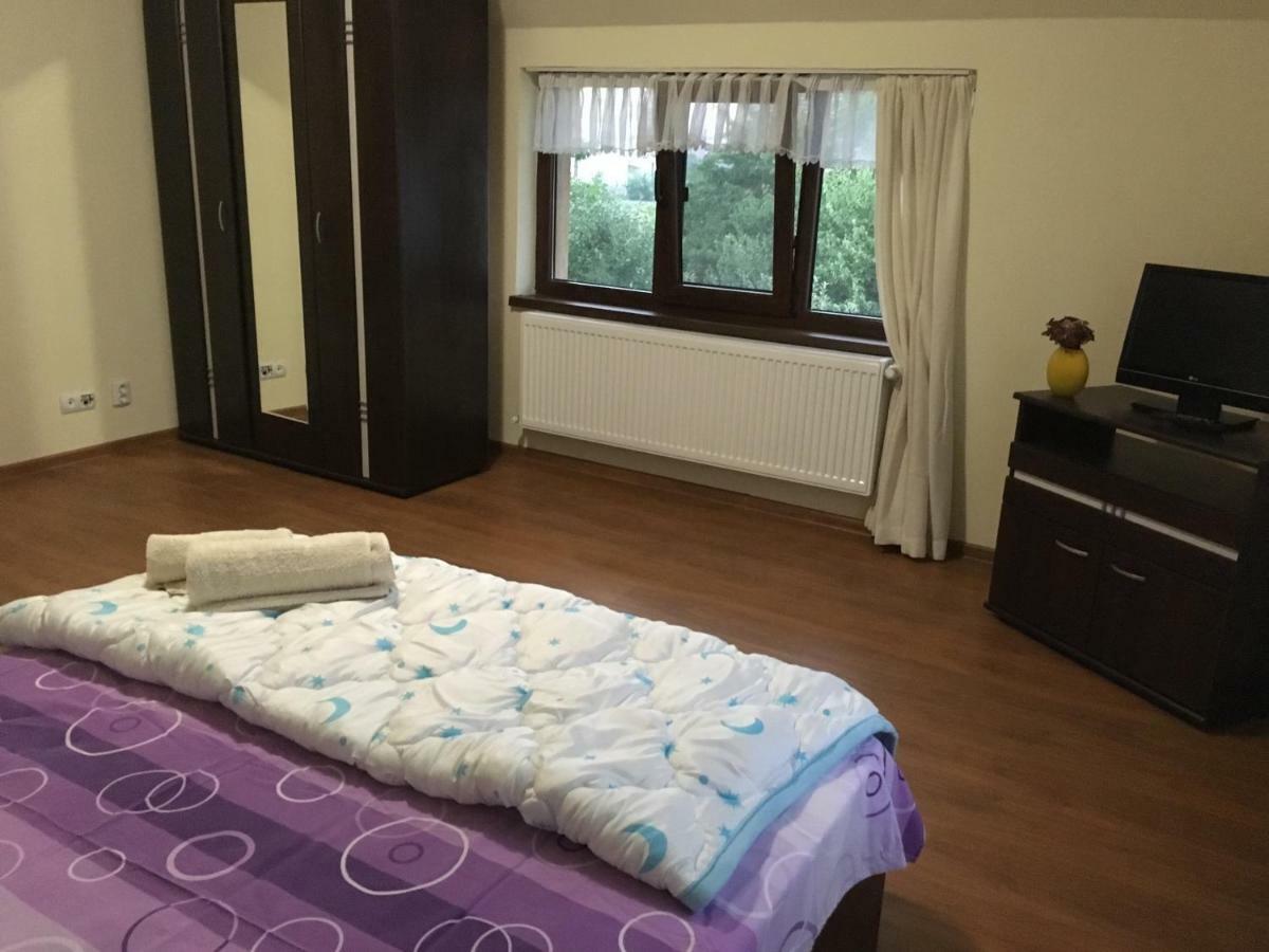 Casa In Zona Linistita, Campia Turziiヴィラ エクステリア 写真